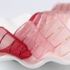 MingRibbon ready stock 25/38 mm decorative ribbon gold striped mesh sheer ribbon for luxury gift packing