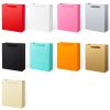 Premium 250gsm Paper Shopping Bags with Handles – Custom Size, Color & Logo Printed Gift Bags